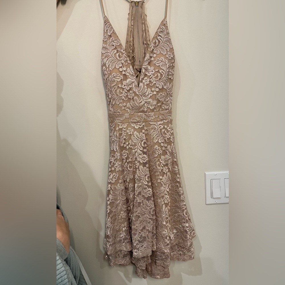 Windsor Lace Backless Dress in Beige